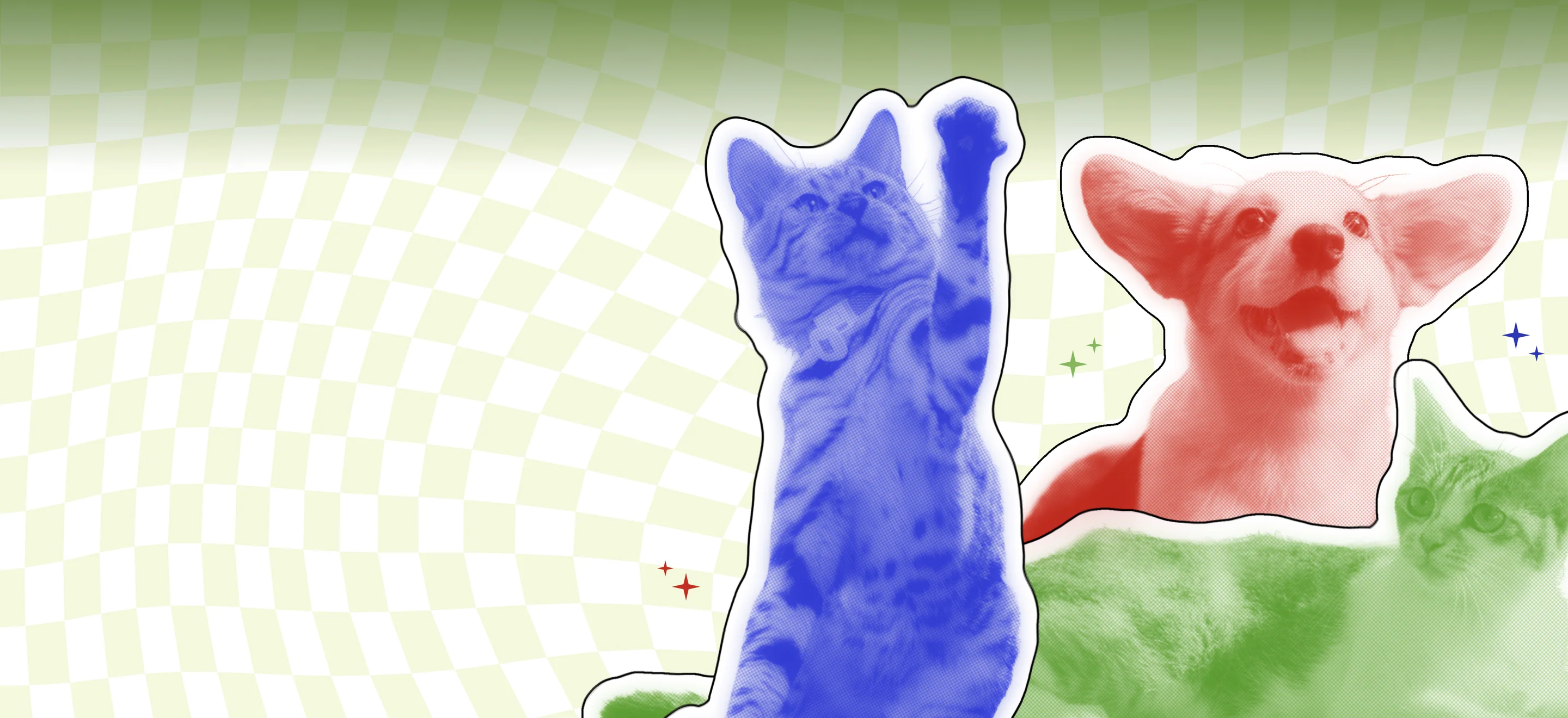 Elevate Your Pet's Daily Life